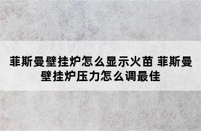 菲斯曼壁挂炉怎么显示火苗 菲斯曼壁挂炉压力怎么调最佳